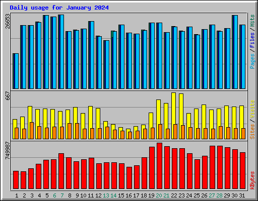 Daily usage for January 2024