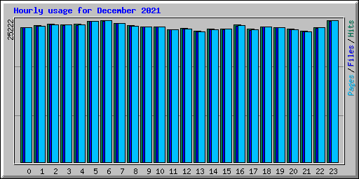 Hourly usage for December 2021