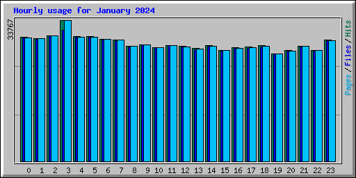 Hourly usage for January 2024