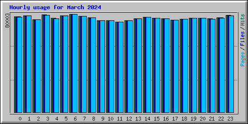 Hourly usage for March 2024