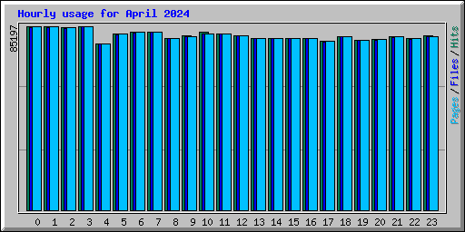 Hourly usage for April 2024