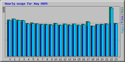 Hourly usage for May 2025