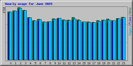 Hourly usage for June 2025