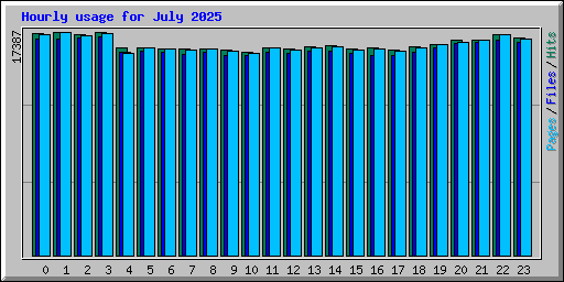 Hourly usage for July 2025