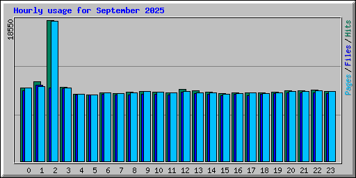 Hourly usage for September 2025