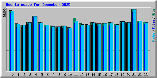 Hourly usage for December 2025
