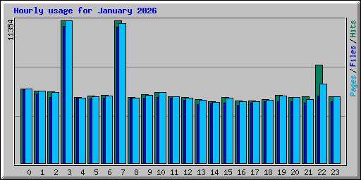 Hourly usage for January 2026