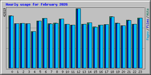 Hourly usage for February 2026